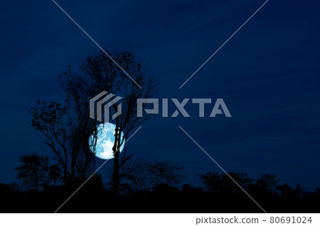 Full Crow Moon and silhouette tree in the field and night sky Full Crow Moon and silhouette tree in the field and night sky 80691024