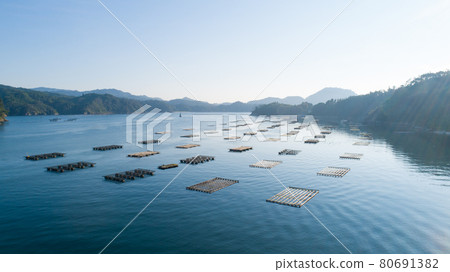 Oyster farming on Oshima Island in Kesennuma, Miyagi Prefecture Oyster farming on Oshima Island in Kesennuma, Miyagi Prefecture 80691382