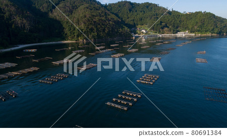 [宮城縣]氣仙沼大島牡蠣養殖 80691384