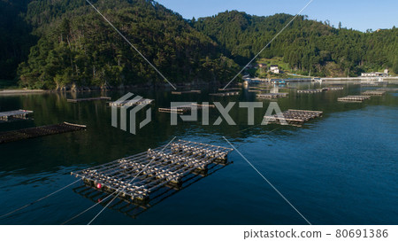 Oyster farming on Oshima Island in Kesennuma, Miyagi Prefecture 80691386