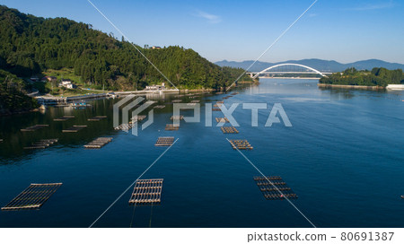 [宮城縣]氣仙沼大島牡蠣養殖 80691387