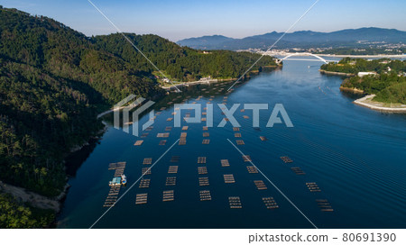 [宮城縣]氣仙沼大島牡蠣養殖 80691390