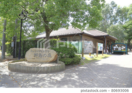 Campbell Town Wild Bird Forest Koshigaya City, Saitama Prefecture Campbell Town Wild Bird Forest Koshigaya City, Saitama Prefecture 80693006