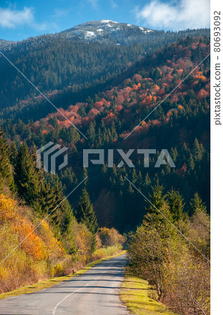 countryside road in mountains. beautiful autumn landscape on a bright sunny morning. trees in colorful foliage along the way. fluffy clouds on the sky above the distant peak. travel back country countryside road in mountains. beautiful autumn landscape on a bright sunny morning. trees in colorful foliage along the way. fluffy clouds on the sky above the distant peak. travel back country 80693092