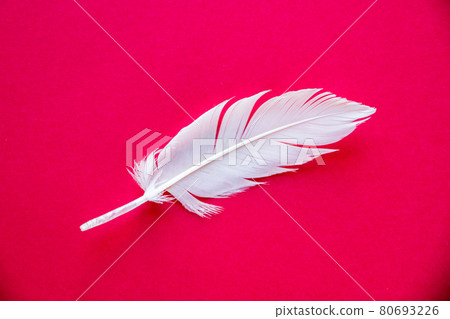 White feather on red background White feather on red background 80693226