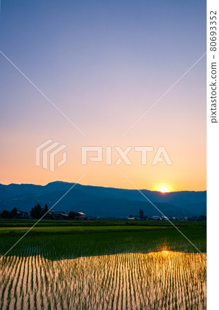 Rural scenery in early summer (dusk) 80693352