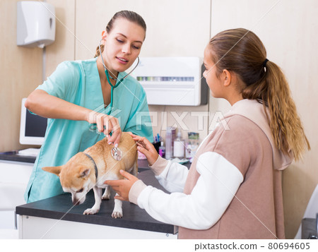 Smiling teenager girl with her puppy visiting veterinarian clinic Smiling teenager girl with her puppy visiting veterinarian clinic 80694605