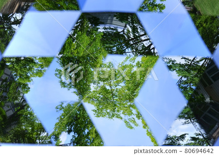 夏季公園景觀（terreid 範圍） 80694642