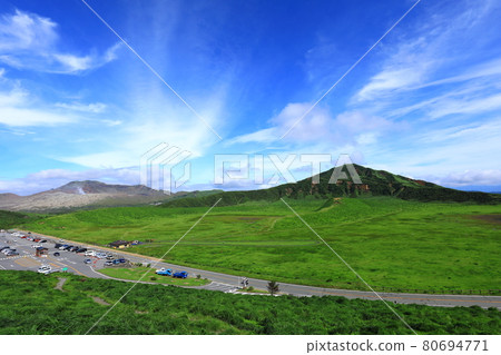 初夏草千里濱 80694771