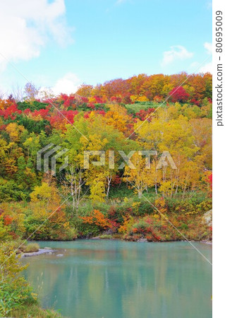 青森縣地獄沼在秋天的顏色 青森縣地獄沼在秋天的顏色 80695009