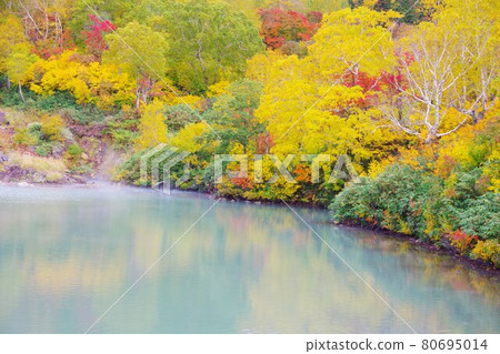 青森縣地獄沼在秋天的顏色 青森縣地獄沼在秋天的顏色 80695014