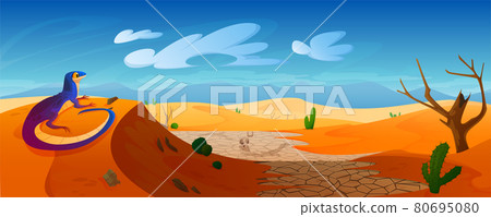 Lizard sit on dune in desert with golden sand 80695080