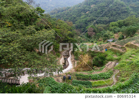 貓空 木柵 台灣 臺灣 臺北 台北 纜車 橋 茶園 茶田 石頭 地質 溪 80695314