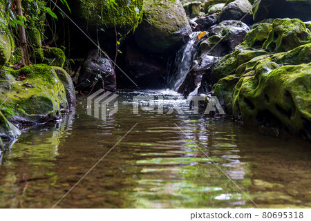 貓空 木柵 台灣 臺灣 臺北 台北 纜車 橋 茶園 茶田 石頭 地質 溪 80695318