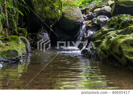 maokong mucha taiwan taiwan taipei cable car bridge tea garden tea field stone geology stream 80695417