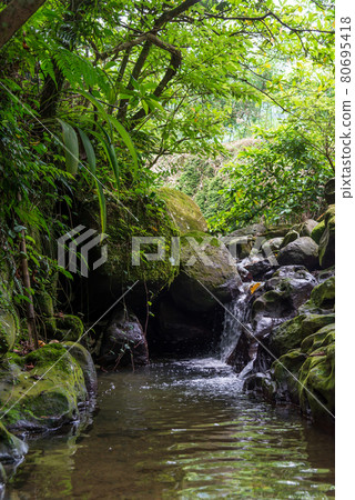 貓空 木柵 台灣 臺灣 臺北 台北 纜車 橋 茶園 茶田 石頭 地質 溪 80695418