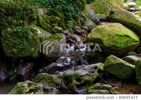 maokong mucha taiwan taiwan taipei cable car bridge tea garden tea field stone geology stream maokong mucha taiwan taiwan taipei cable car bridge tea garden tea field stone geology stream 80695423