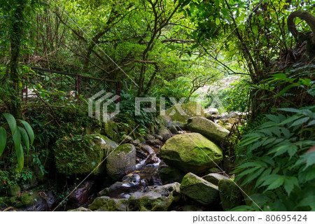 maokong mucha taiwan taiwan taipei cable car bridge tea garden tea field stone geology stream 80695424