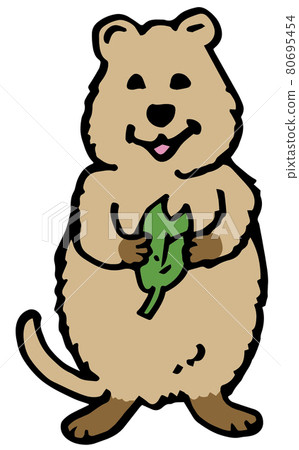 Quacker wallaby Quacker wallaby 80695454