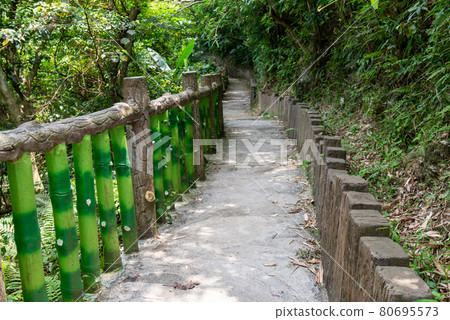 貓空 山 步道 木柵 台灣 臺灣 臺北 台北 貓空 山 步道 木柵 台灣 臺灣 臺北 台北 80695573