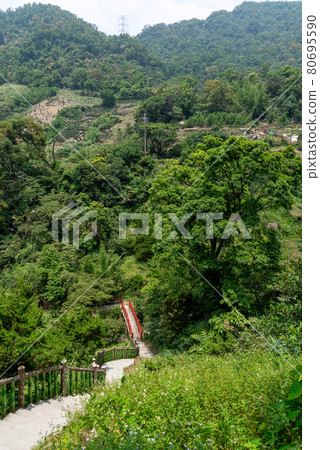 貓空 山 步道 木柵 台灣 臺灣 臺北 台北 80695590