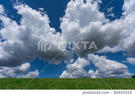 Green horizon and blue sky Green horizon and blue sky 80695859