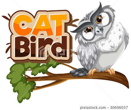 White owl on branch cartoon character with Cat Bird font banner isolated White owl on branch cartoon character with Cat Bird font banner isolated 80696037
