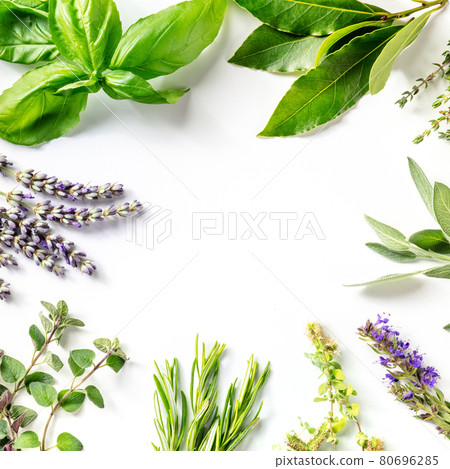 Fresh garden herbs square banner with a place for text 80696285
