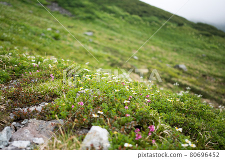 Tateyama (Northern Alps) 80696452