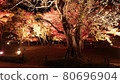 Autumn fantasy garden in Okayama Korakuen 80696904
