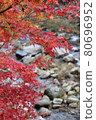 Autumn leaves and clear stream of Okutsu valley 80696952