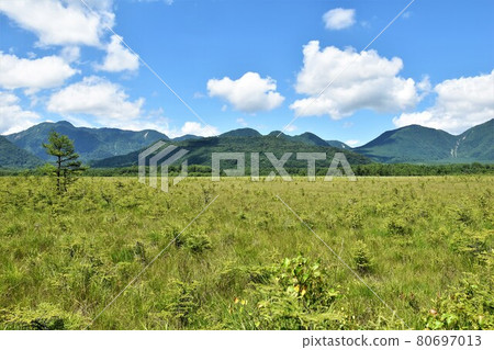 夏季奧日光戰場原步行 80697013