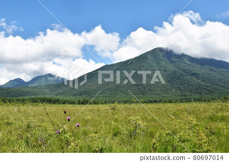 夏季奧日光戰場原步行 80697014