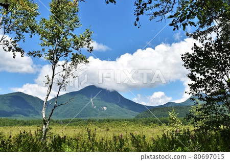 夏季奧日光戰場原步行 80697015