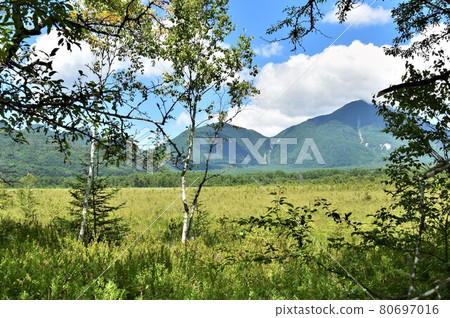 夏季奧日光戰場原步行 夏季奧日光戰場原步行 80697016