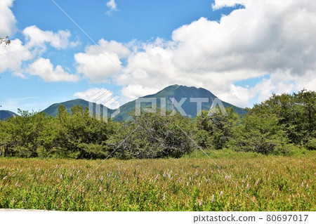 夏季奧日光戰場原步行 80697017