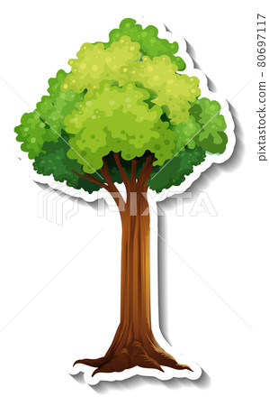 A tree with green leaves sticker on white background 80697117
