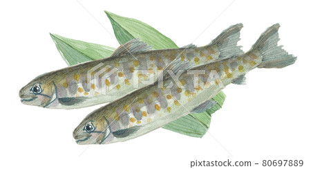 Haran 頂部的兩個字符 80697889