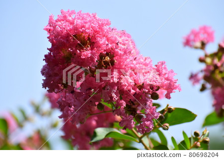 Yamadaike Park Yamadaike Park 80698204