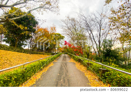Park's sidewalk Park's sidewalk 80699022
