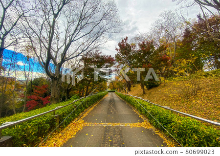 Park's sidewalk Park's sidewalk 80699023