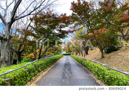 Park's sidewalk Park's sidewalk 80699024