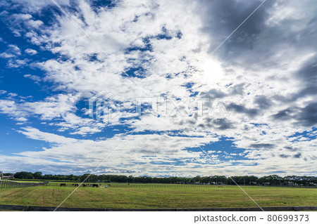 Summer blue sky and racehorse (Thoroughbred) production ranch image Hokkaido Summer blue sky and racehorse (Thoroughbred) production ranch image Hokkaido 80699373