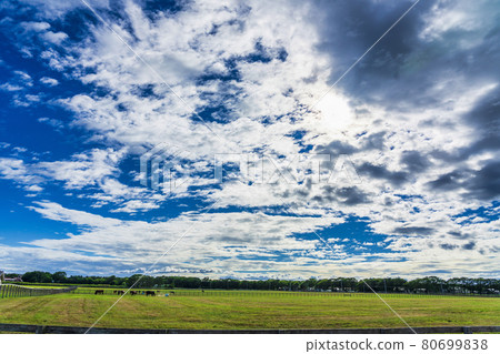 Summer blue sky and racehorse (Thoroughbred) production ranch image Hokkaido 80699838