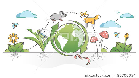 Food chain process cycle with producers and apex predators outline concept Food chain process cycle with producers and apex predators outline concept 80700054