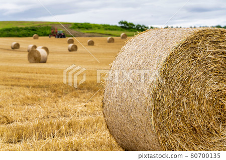 Summer Hokkaido wheat field wheat straw roll Abira-cho, Hokkaido 80700135