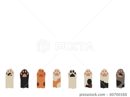 Cat hand frame 80700388