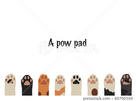 Cat hand frame 80700389