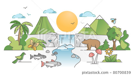 Nature landscape with wild species habitat diversity scene outline concept Nature landscape with wild species habitat diversity scene outline concept 80700839