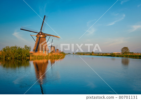 Windmills at Kinderdijk in Holland. Netherlands 80701131